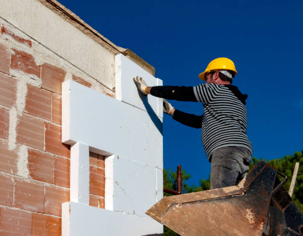 Best Cellulose Insulation in Rockvale, TN