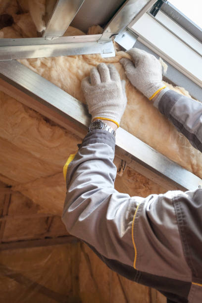 Best Geographic-Specific Insulation Services in Rockvale, TN