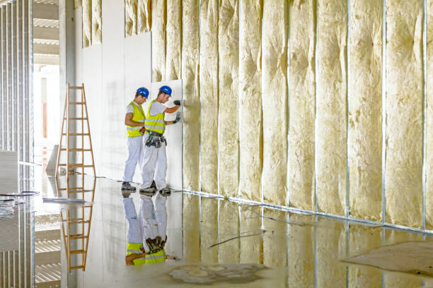 Best Commercial Insulation in Rockvale, TN
